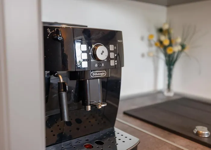 Ljubi Sveti Anton (Krk)